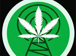The Top 35 Cannabis Podcasts from A-Z