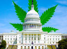One Giant Leap: Congress Moves on Medical Marijuana