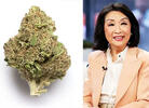 Connie Chung on the Weed Strain Named for Her: 'I'm Easy to Grow'