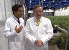 Review: Dr. Sanjay Gupta's 'Weed 2: Cannabis Madness' on CNN (2014)