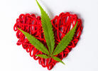 Mixed Messages About Cannabis and Heart Disease