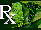 Illinois Legalizes Medical Marijuana