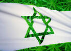 Communiqué from Israel: Cannabis for PTSD Used by Patients During War