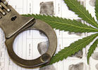 Marijuana Arrests in U.S. Continue to Decline (2013)
