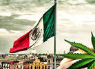 Legalization in Mexico Misses December Deadline, Pushed to Spring 2021