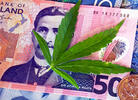 New Zealand Voters Nix Marijuana Legalization Measure