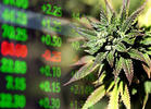 Cannabis Investor Alert: 25 Pot Stocks Worth Watching