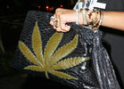 Rihanna's Pot Leaf Pocketbook