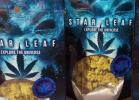Star Leaf Marijuana Now Available in Washington