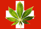Swiss Say Yes to Marijuana