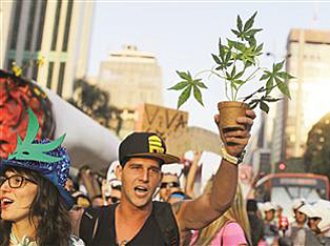 Marijuana Protest in Brazil