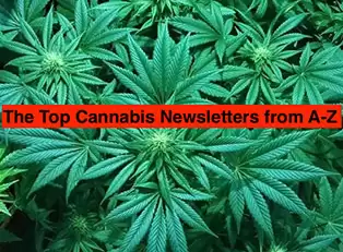 The Top 20 Cannabis Newsletters from A-Z