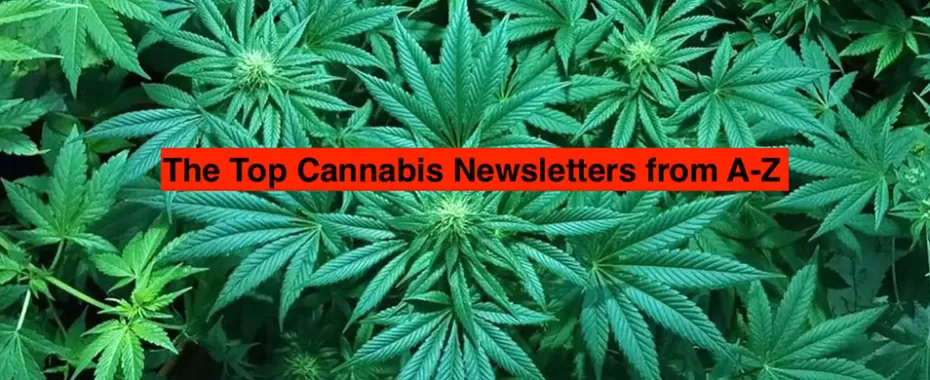 The Top 20 Cannabis Newsletters from A-Z