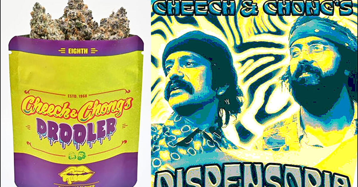 photo of Cheech & Chong to Open Sixth 'Dispensoria' in Third State image